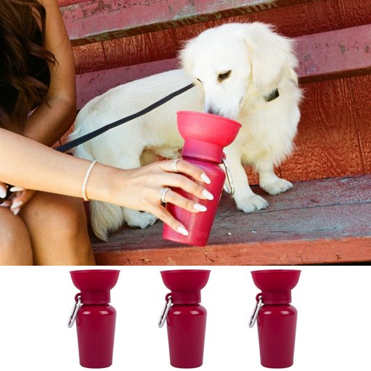 20oz Flip Limited Edition Mulberry Dog Travel Water Bottle (Case of 12)