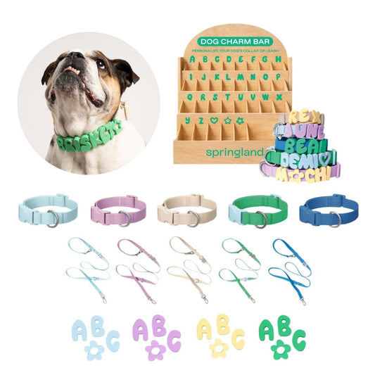 Complete Dog Walk Set + Charm Bar Counter Display