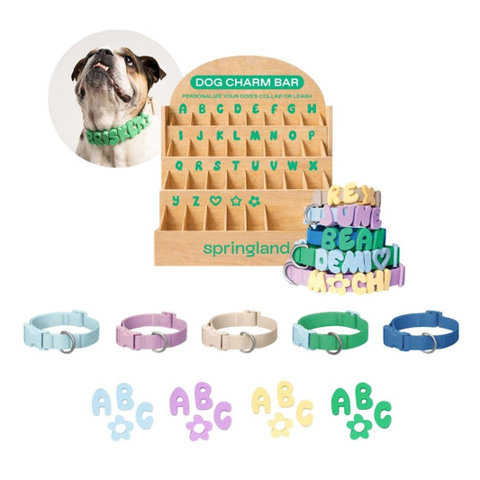 Charm Bar Counter Display + Products