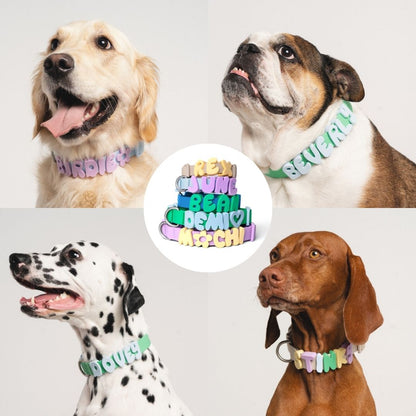 Mixed Dog Charm Set