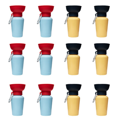 Limited-Edition Spring/Summer 2026 Walk Collection