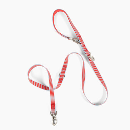 Limited-Edition Spring/Summer 2026 Walk Collection