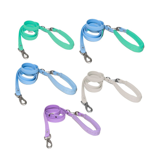 PRE-ORDER Dog Leash Mixed Case (Case of 5)