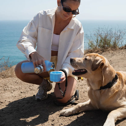 24oz Dog & Me Insulated Travel Bottle (Case of 6)