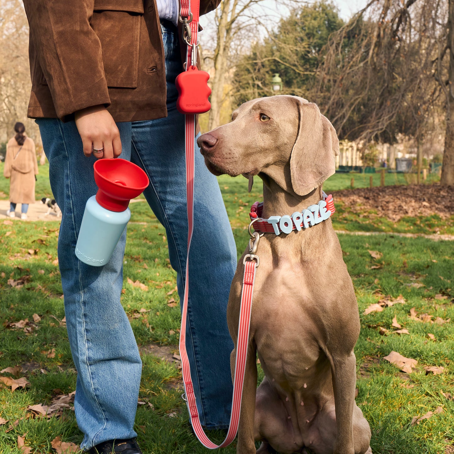 Limited-Edition Spring/Summer 2026 Walk Collection