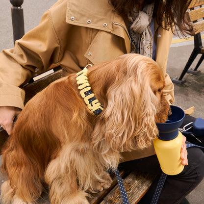 Limited-Edition Spring/Summer 2026 Walk Collection