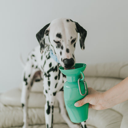 22oz Classic Dog Water Travel Bottle (Case of 12)