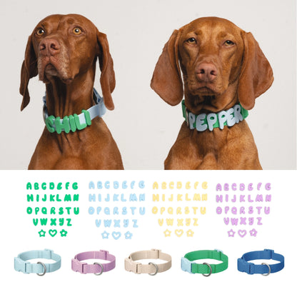 Silicone Dog Charms + Collar Set, Personalized Dog Collars