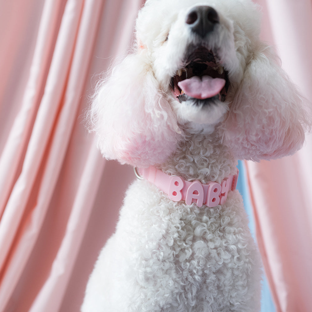 Limited-Edition Baby Collection