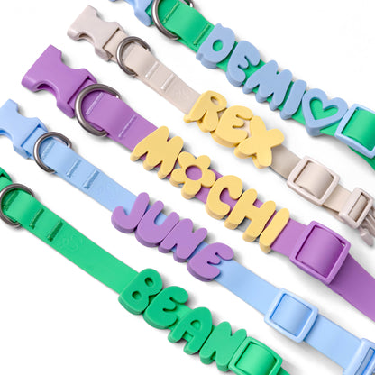 PRE-ORDER Dog Charms (Case of 60 Charms + 3 Bottle Straps)