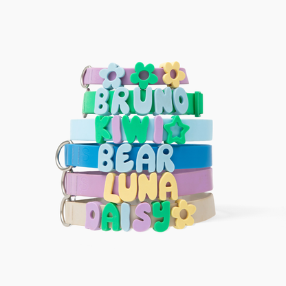 Silicone Dog Charms, Personalize Dog Collar/Leash (63 Pack Assorted)