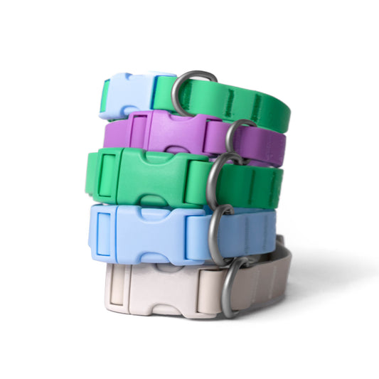PRE-ORDER Dog Collars Mixed Case (Case of 5)