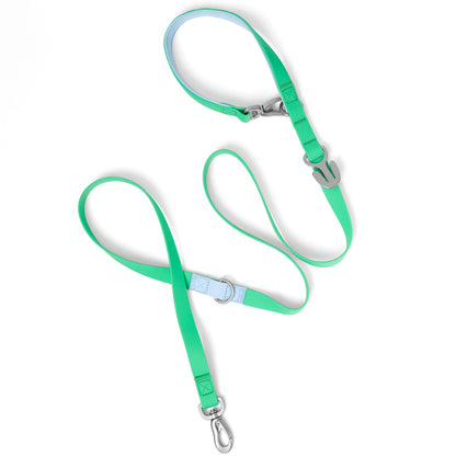 PRE-ORDER Dog Leash Mixed Case (Case of 5)