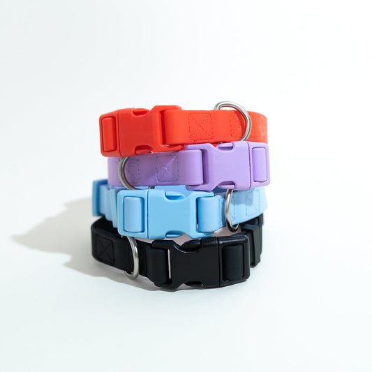 Dog Collar Mixed Case (Case of 4)