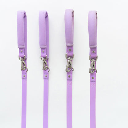 Dog Leash (Case of 4)