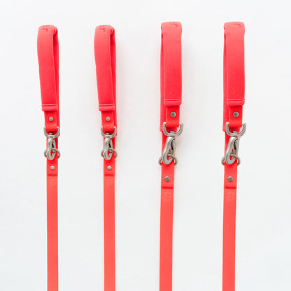 Dog Leash (Case of 4)