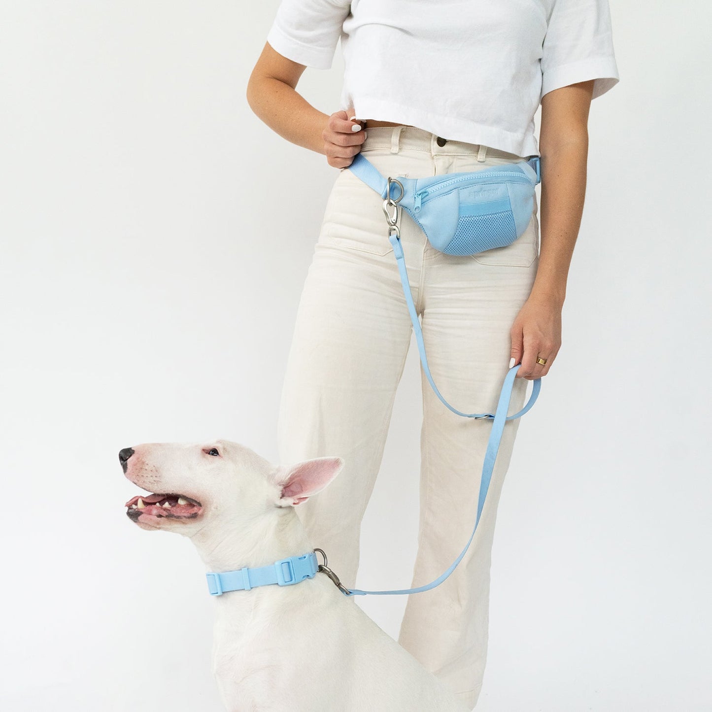 Sling Bag with Dog Leash Mixed Case (Case of 4)
