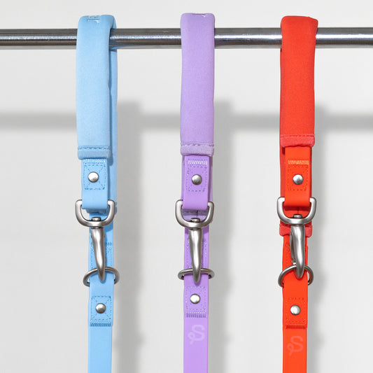Dog Leash Mixed Case (Case of 3)