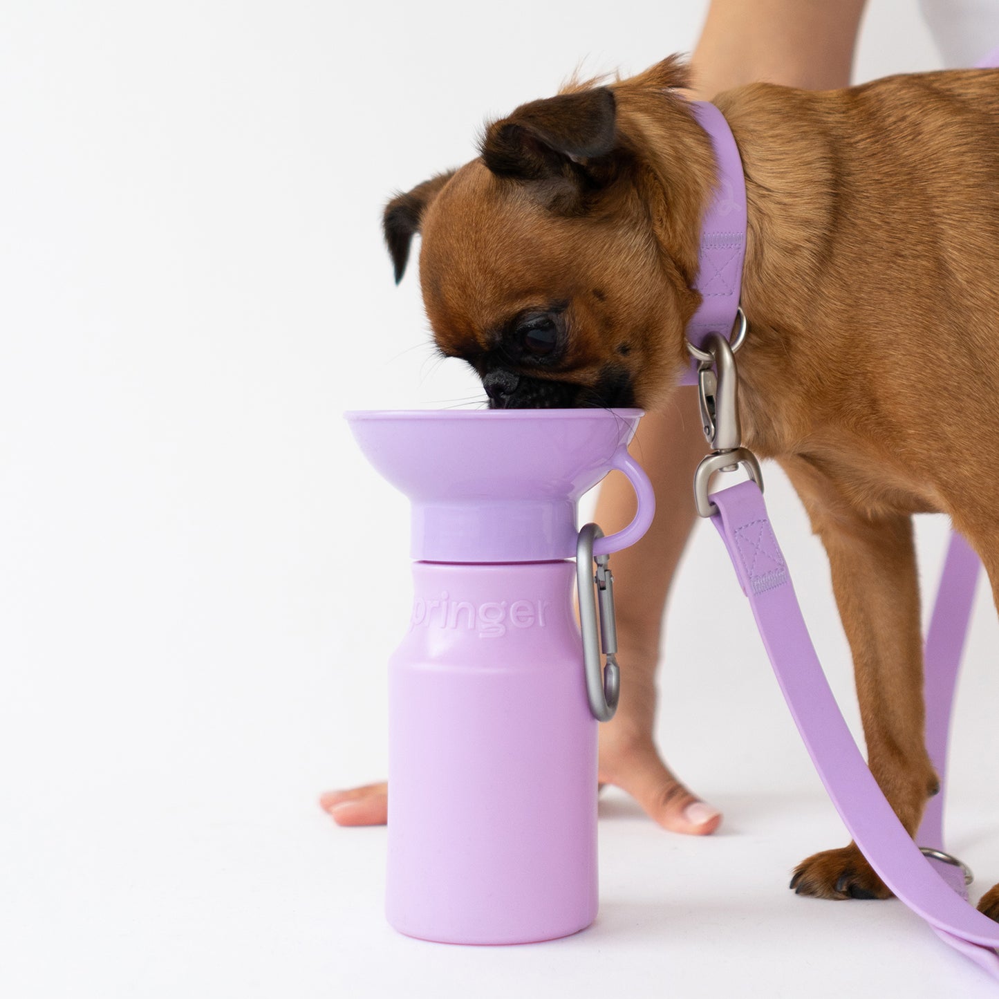 15oz Mini Dog Water Travel Bottle (Case of 12)