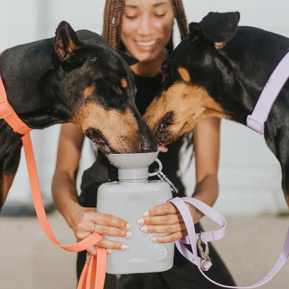 44oz Growler Dog Water Travel Bottle (Case of 12)