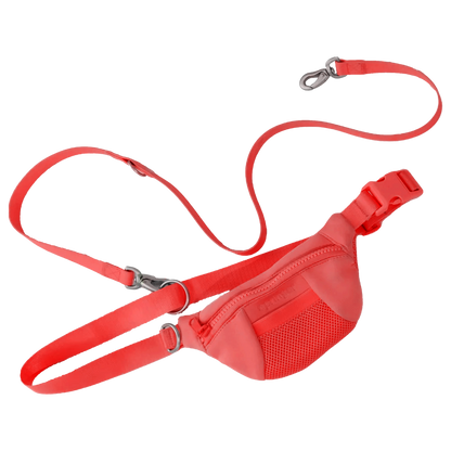 Sling Bag + Dog Leash (Single)