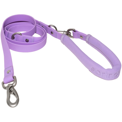 Dog Leash Mixed Case (Case of 3)