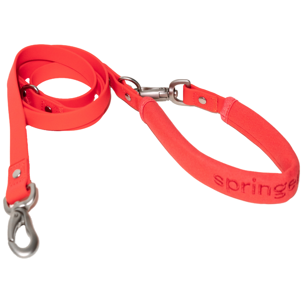 Springlan Collar Dog Leash (Case of 4) – Springland Pets Wholesale